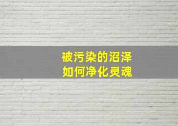 被污染的沼泽 如何净化灵魂